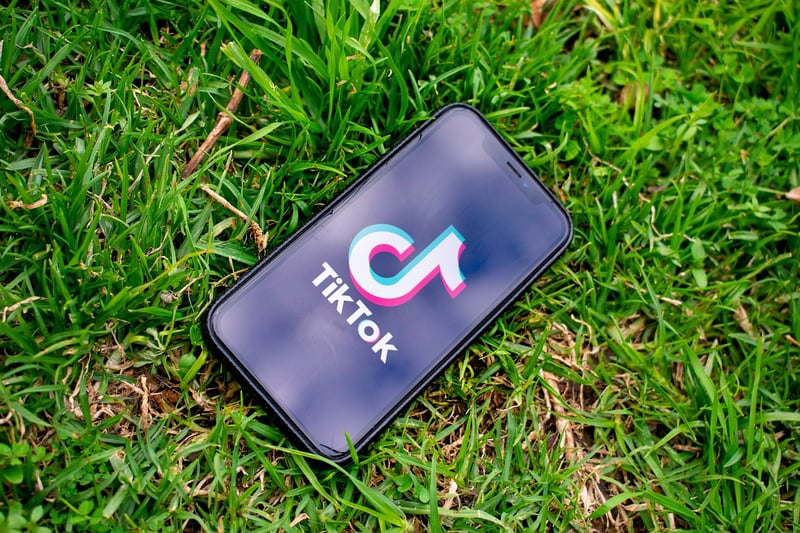 TikTok Challenges